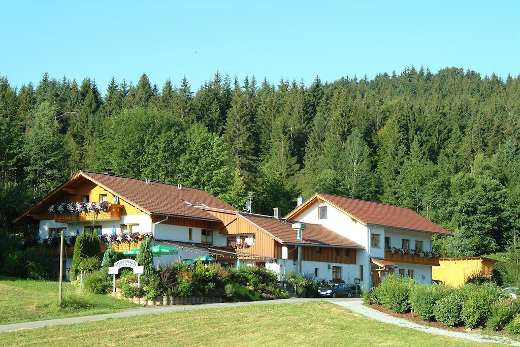 Gasthaus Pension Sternknockel Bodenmais Buitenkant foto