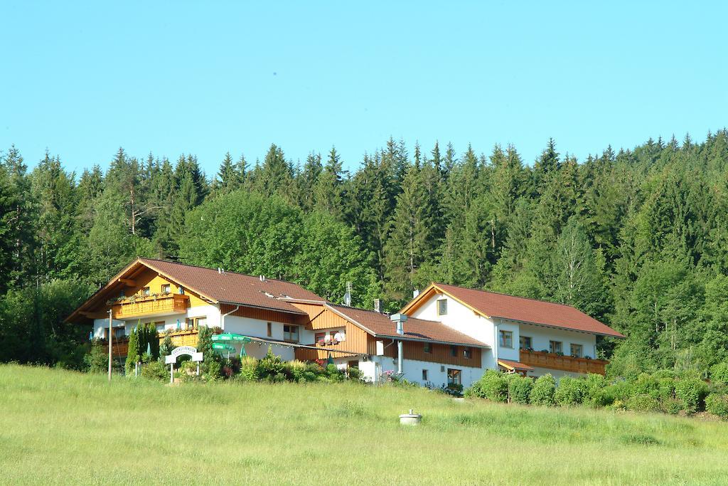 Gasthaus Pension Sternknockel Bodenmais Buitenkant foto