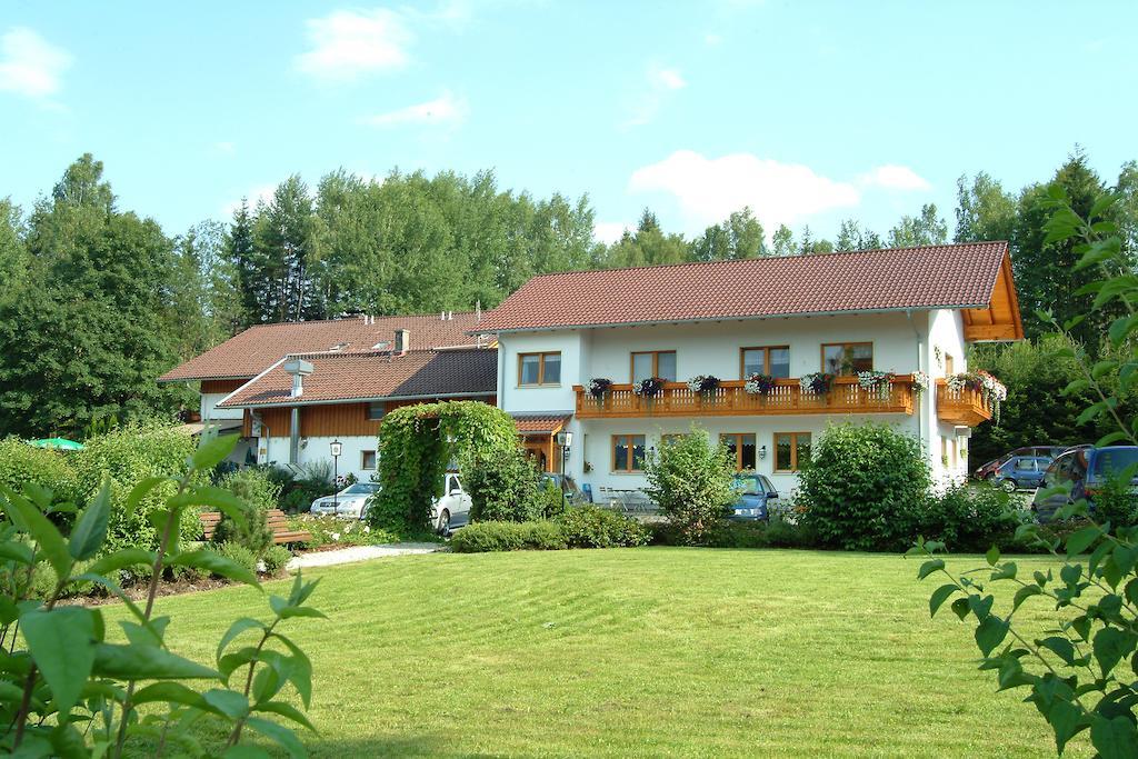 Gasthaus Pension Sternknockel Bodenmais Buitenkant foto