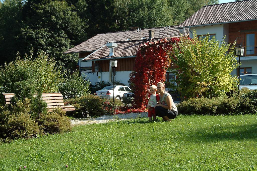 Gasthaus Pension Sternknockel Bodenmais Buitenkant foto